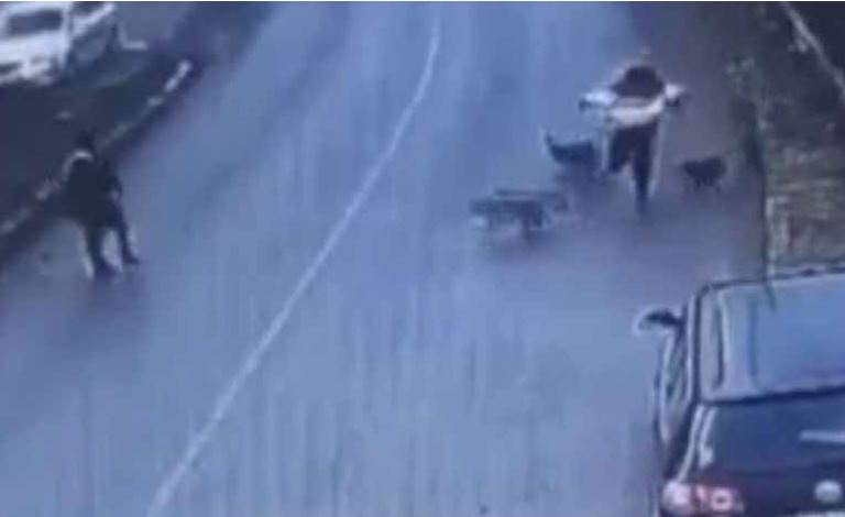 UZNEMIRUJUĆE! POPEO SE NA KROV KAKO BI POBJEGAO Čopor pasa napao čovjeka (VIDEO)