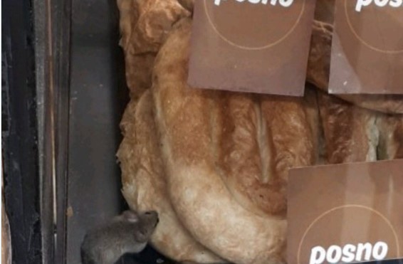 DRAMA U BANJALUČKOM MARKETU Inspekcija ispraznila rafe zbog miša među pitama