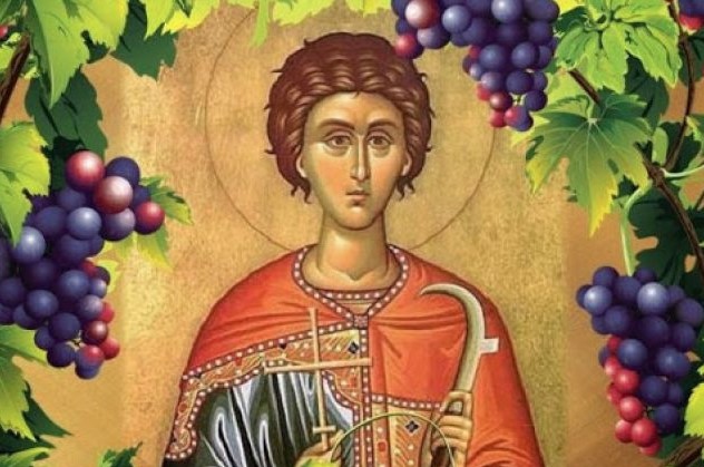 ZAŠTITNIK BRAČNE LJUBAVI I VINOGRADARA Danas slavimo Svetog Trifuna, evo kakvi su običaji