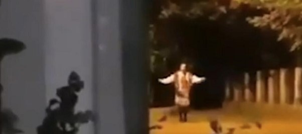 LJUDI SU PRESTRAVLJENI Misteriozna žena u narodnjoj nošnji noću igra na Zvezdari (VIDEO)