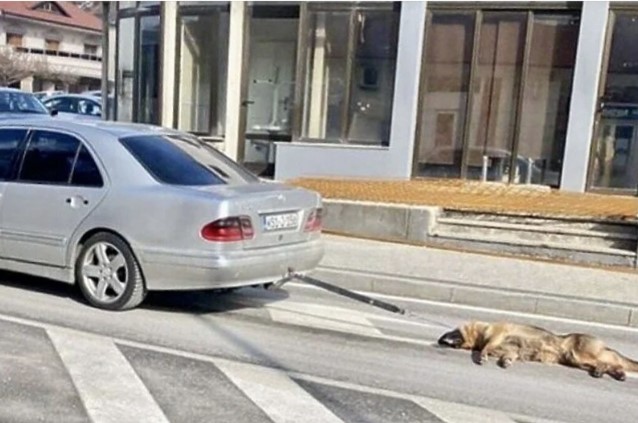 SLUČAJ U POSUŠJU ZGROZIO SVE Zavezao psa za automobil i vukao ulicama grada