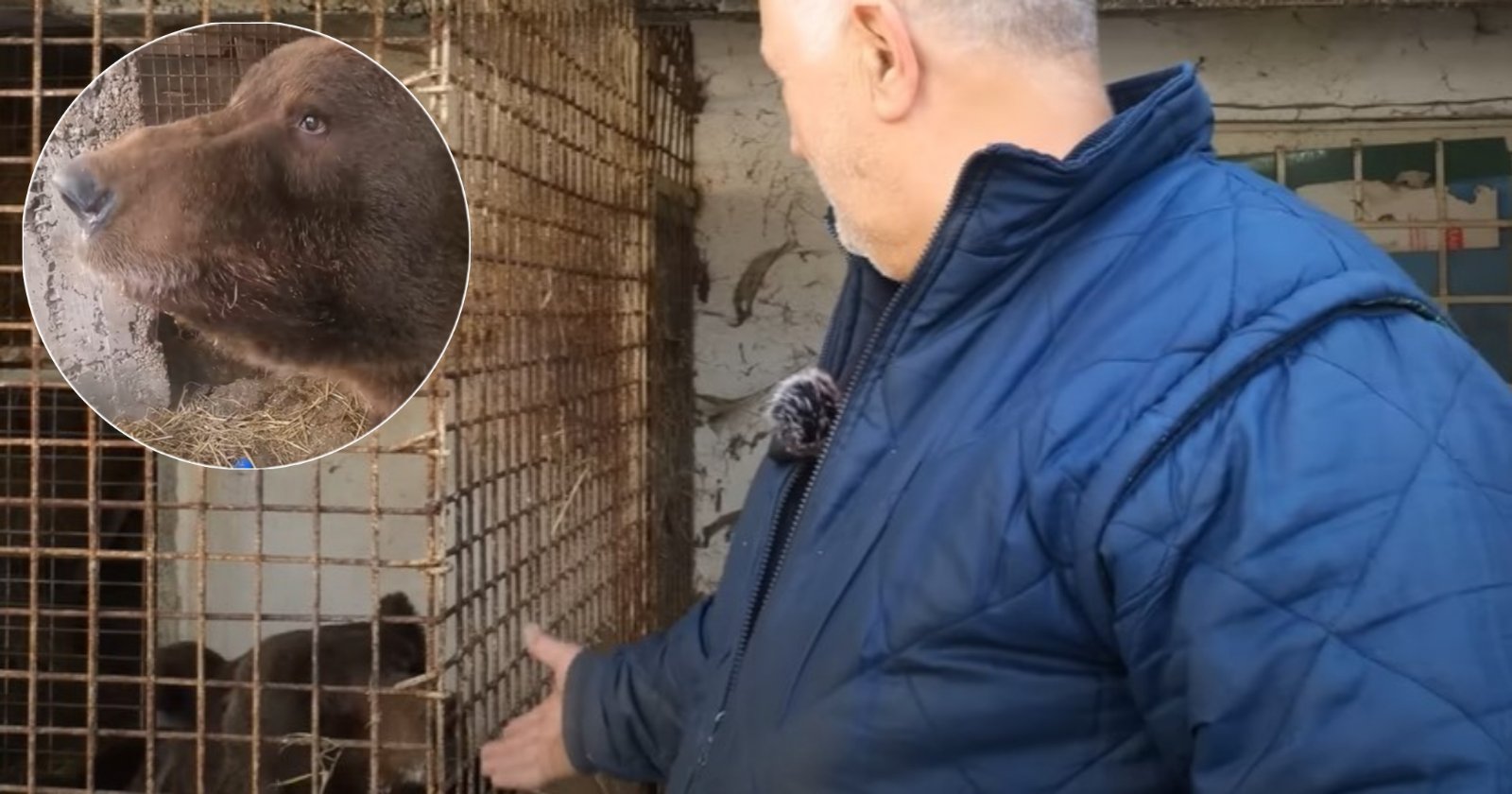 ERMIN IZ GORNJEG VAKUFA IMA NEOBIČNE LJUBIMCE Bosanac odgajio dva medvjeda, a sa jednim čak spavao u krevetu (VIDEO)
