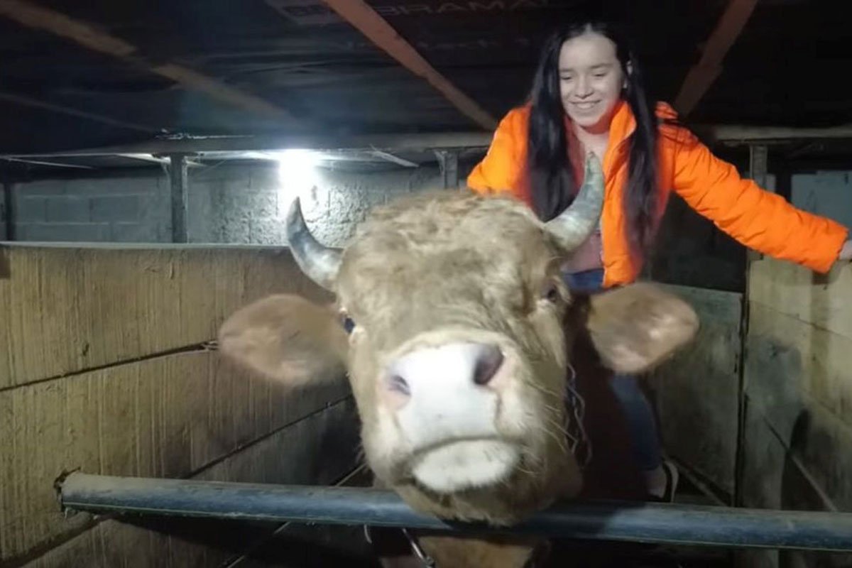 "NEMA TIH PARA ŠTO ĆE ZAMIJENITI LJUBAV PREMA BIKOVIMA" Emina ima samo 16 godina: Vozi traktor i takmiči se na koridi (VIDEO)