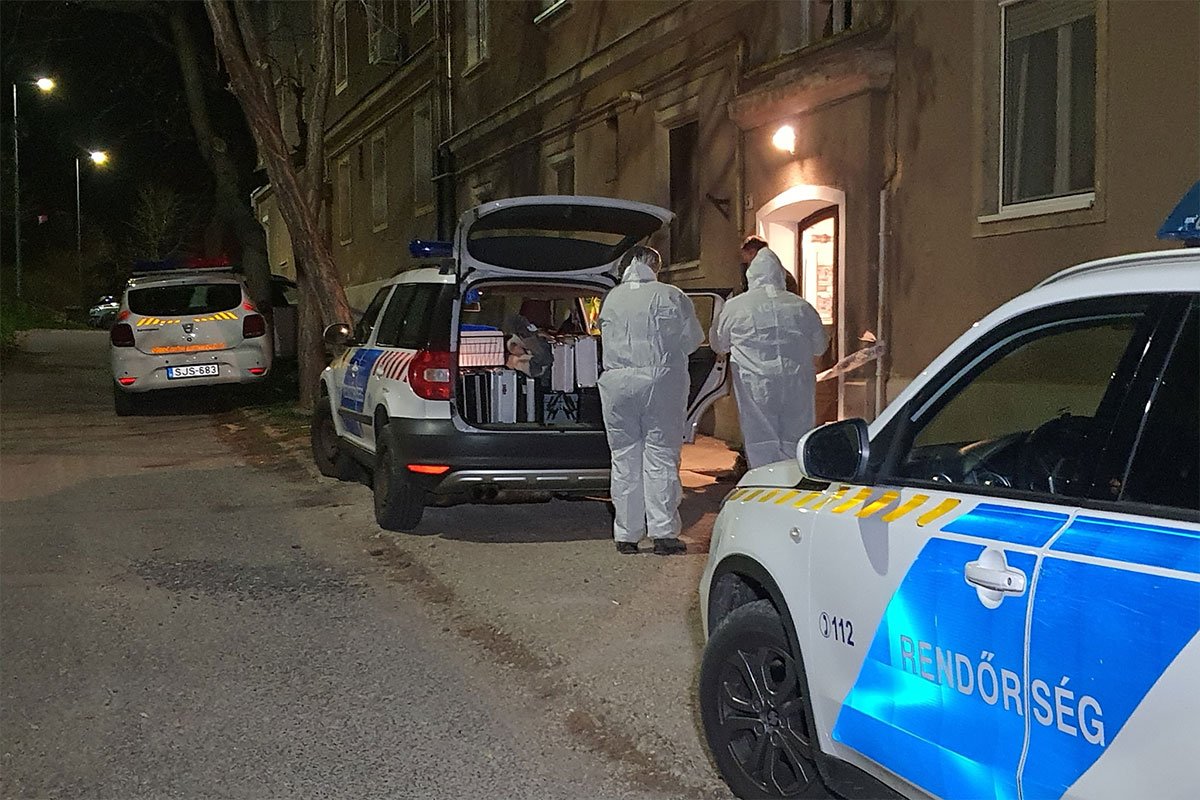 TRAGEDIJA U MAĐARSKOJ: Dječaka (5) ugušio povodac za psa