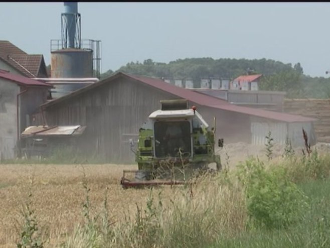 Poljoprivrednici traže moratorijum na otplatu poreskog duga