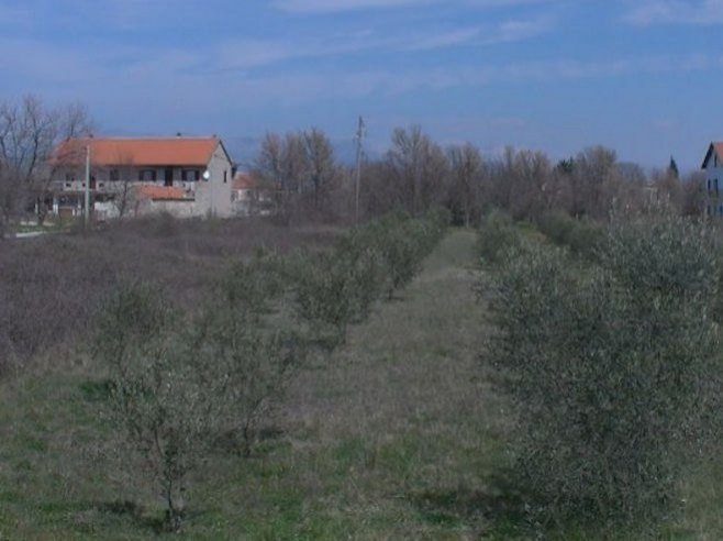 Kako se sistematski otuđuje srpska imovina u Hrvatskoj?