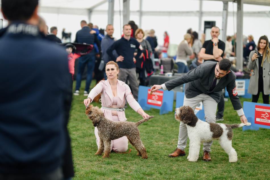 SPEKTAKL ZA LJUBITELJE PASA U Banjaluci otvorena manifestacija "BL Dog Show 2023"