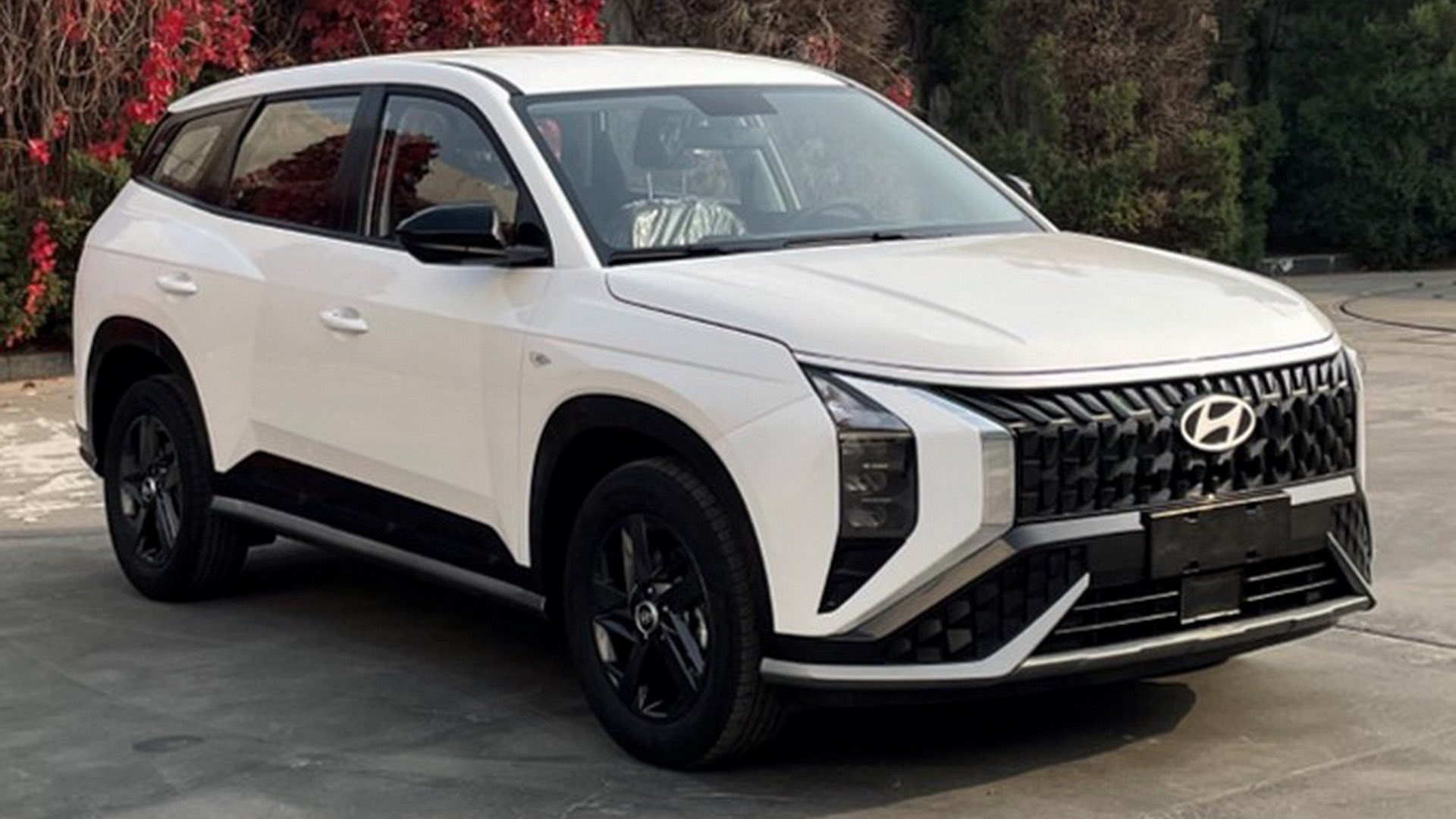 Hyundai Mufasa debitovao u konceptnom obliku