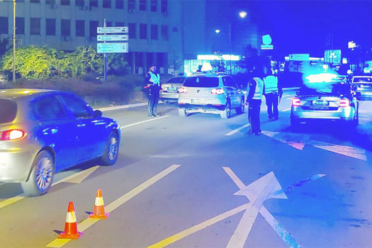 JEZIV PRIZOR NA PUTU Jedno vozilo ga udarilo, a drugo pregazilo