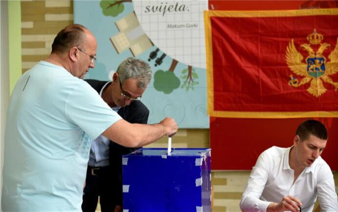 NESVAKIDAŠNJA SCENA U CRNOJ GORI Ovce "došle na glasanje" (FOTO)