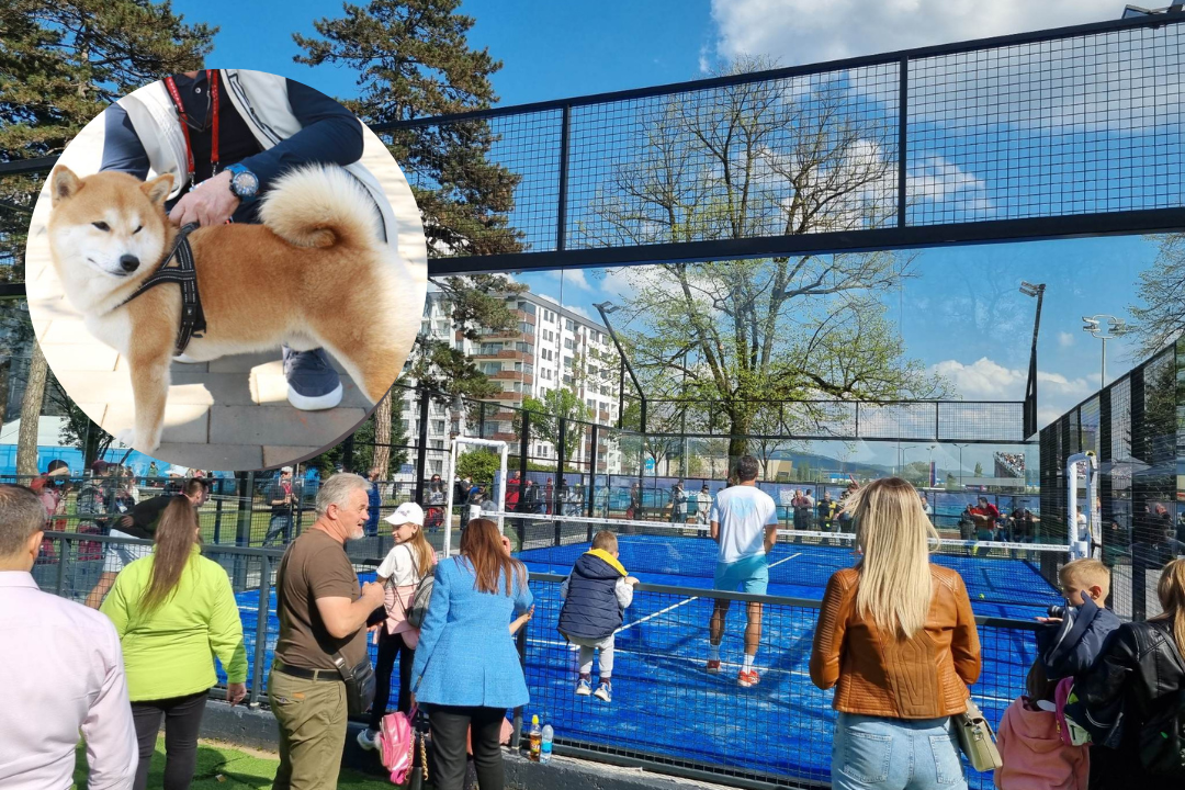 NJEGOVO IME JE RIO Ovo je jedini pas koji smije biti na turniru Srpska open (FOTO)