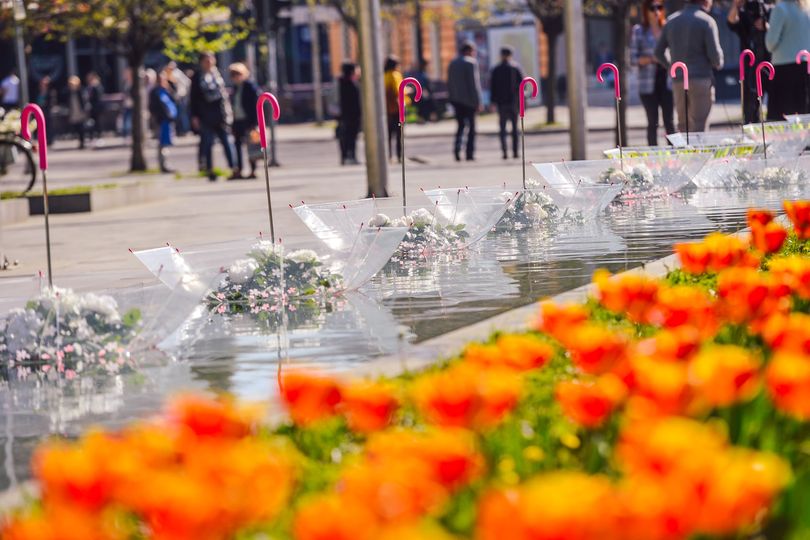 BANJALUKA PRIPREMA CVJETNU ČAROLIJU Od petka do nedjelje Festival u Parku „Petar Kočić“