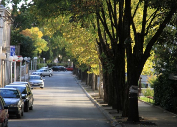 HAOS U BILEĆI Uz prijetnju vatrenim oružjem pokušao oteti automobil
