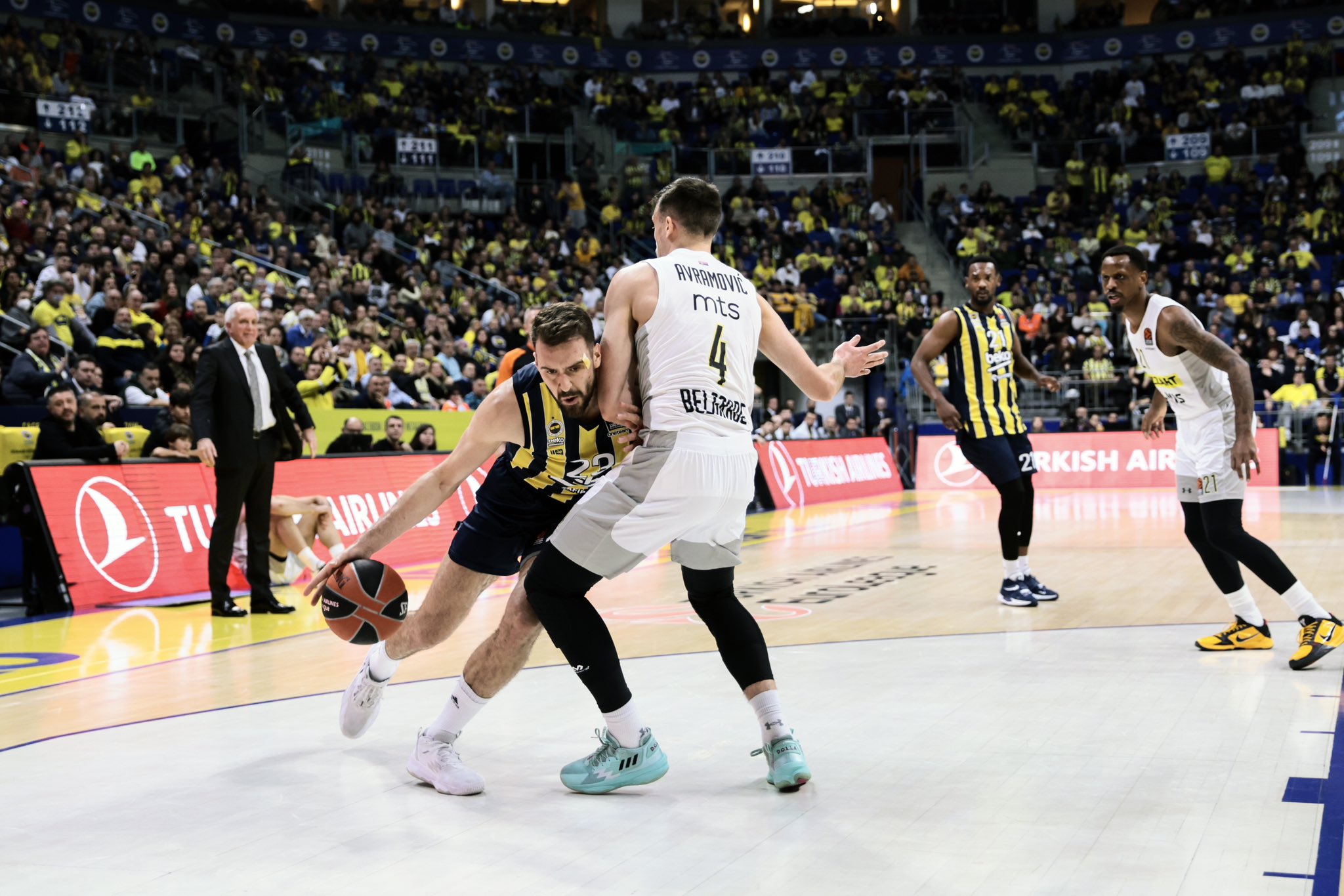 Avramović o meču: Panter šut protiv Reala vježba 15 godina