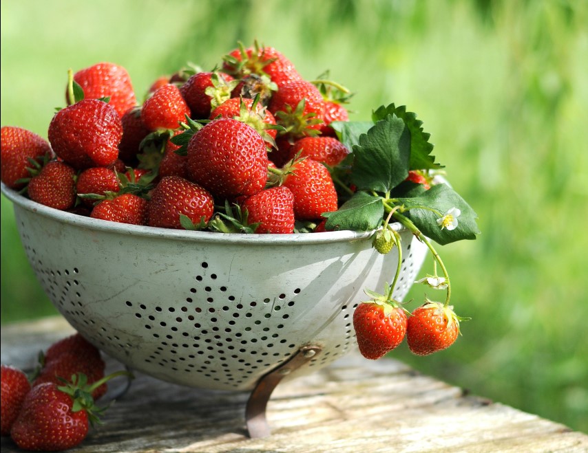 OVO JE NAJZDRAVIJA HRANA ZA SRCE Nutricionista otkrio zašto svakodnevno treba jesti jagode