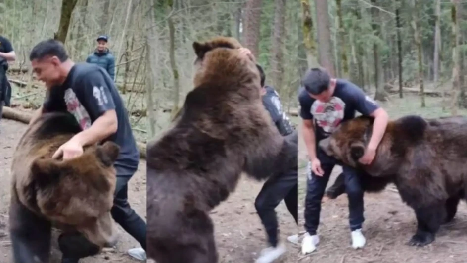 MMA borac rvao se s medvjedom u šumi: Pogledajte ko je izvukao "deblji" kraj (VIDEO)