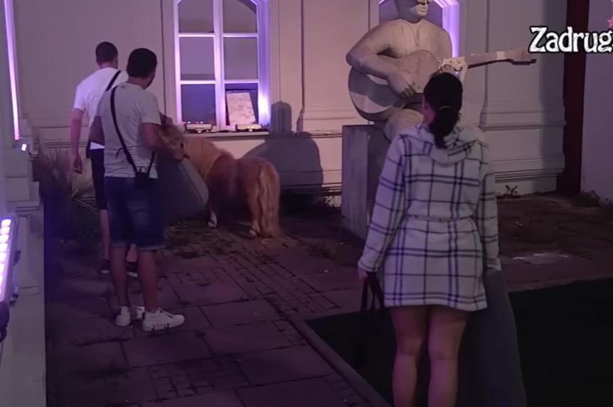 URNEBESNO! Zadrugari pokušali da uhvate ponija, ispao je šou! (VIDEO)