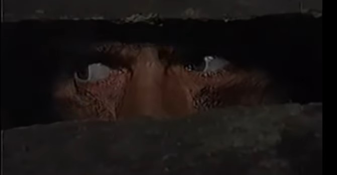 VAMPIR KOJI JE PLAŠIO OD VARDARA DO TRIGLAVA Legendarni horor “Leptirica” slavi pola vijeka (VIDEO)