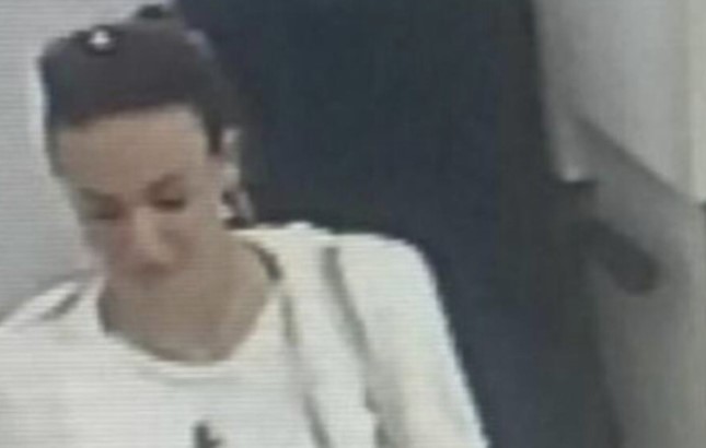 KO JE ŽENA KOJA JE UKRALA VIŠE OD MILION DOLARA? Otkriveni novi detalji o nevjerovatnoj prevari u Crnoj Gori