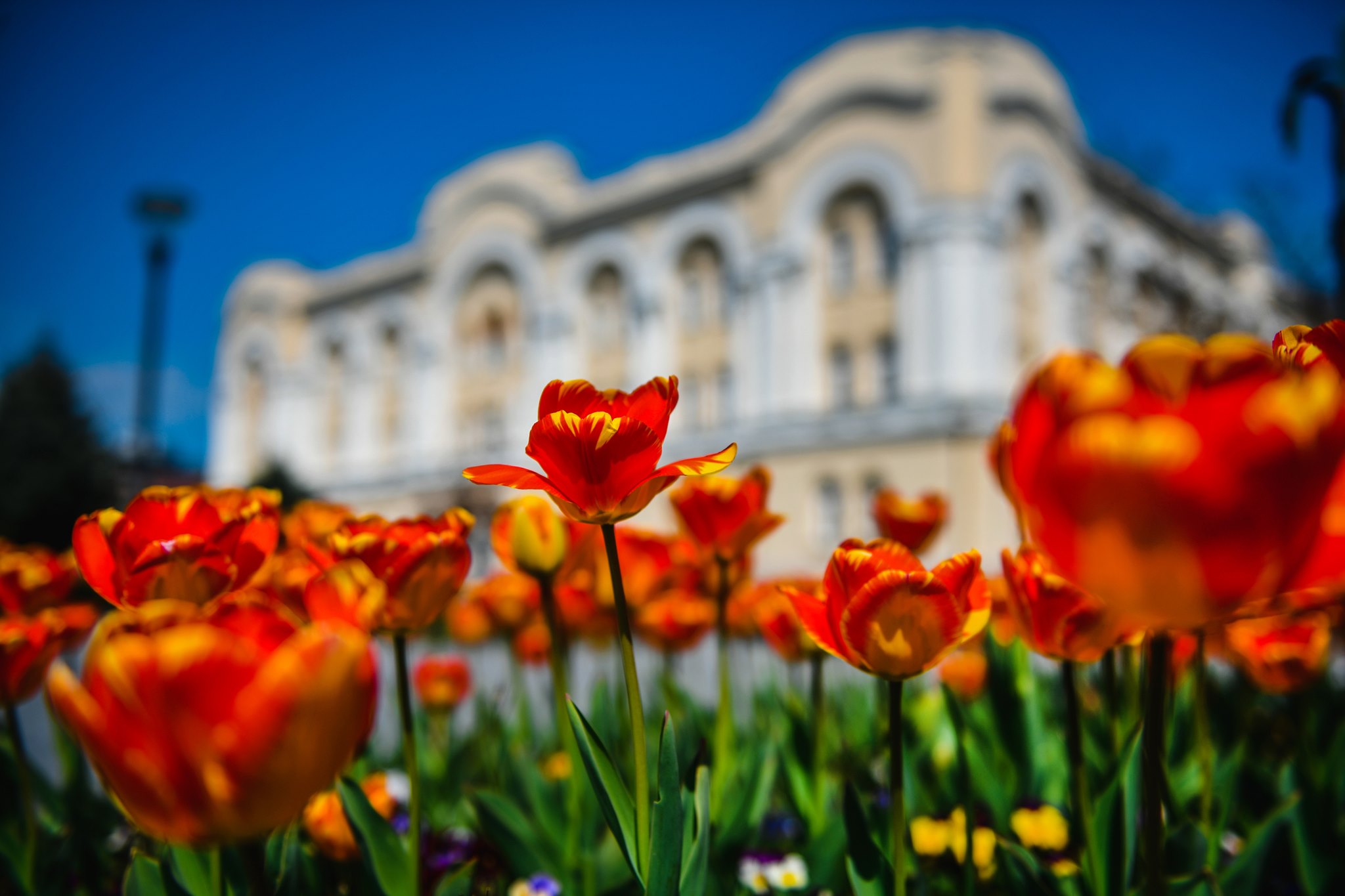 NAJAVLJENI RADOVI Djelovi Banjaluke bez struje