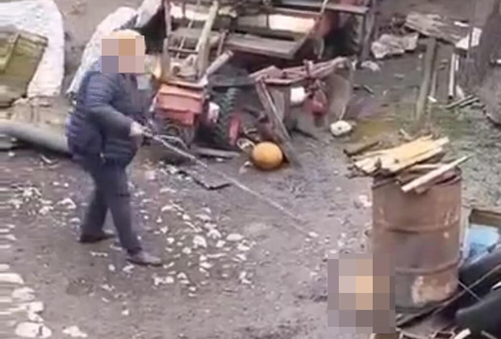 UZNEMIRUJUĆE, STRAVIČNE SCENE PREBIJANJA ŠTENETA Žena psića udarala motkom iako je već mrtav (FOTO)