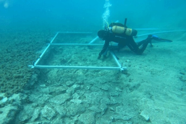 Na Korčuli pronađen podvodni ostatak puta starog gotovo 7.000 godina