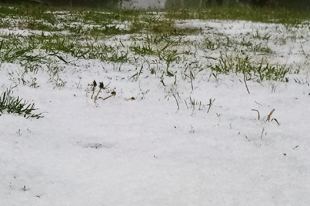 KUGLE LEDA ZABIJELILE ZELENE POVRŠINE Padao grad od Olova do Doboja, saobraćaj se otežano odvija (FOTO)