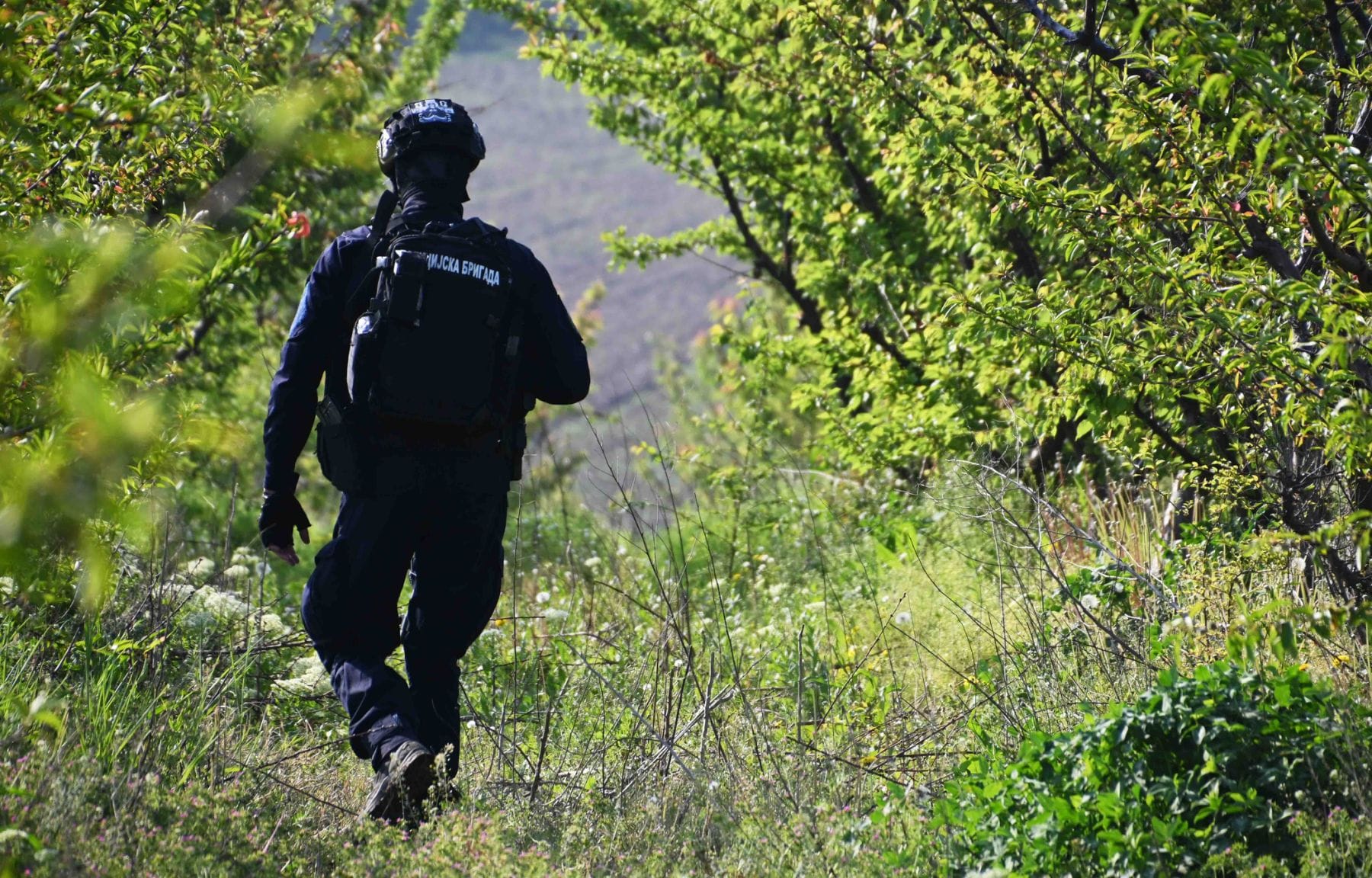Objavljen snimak arsenala oružja koje je imao monstrum iz Mladenovca