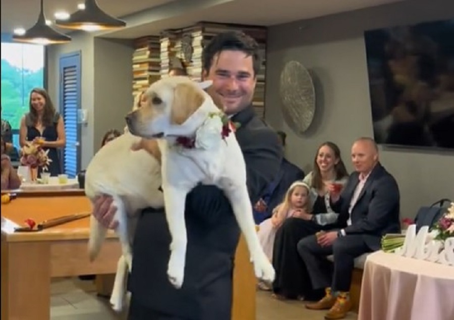 PSI SU ČLANOVI PORODICE Pogledajte kako mladoženja pleše sa svojom labradorkom (VIDEO)