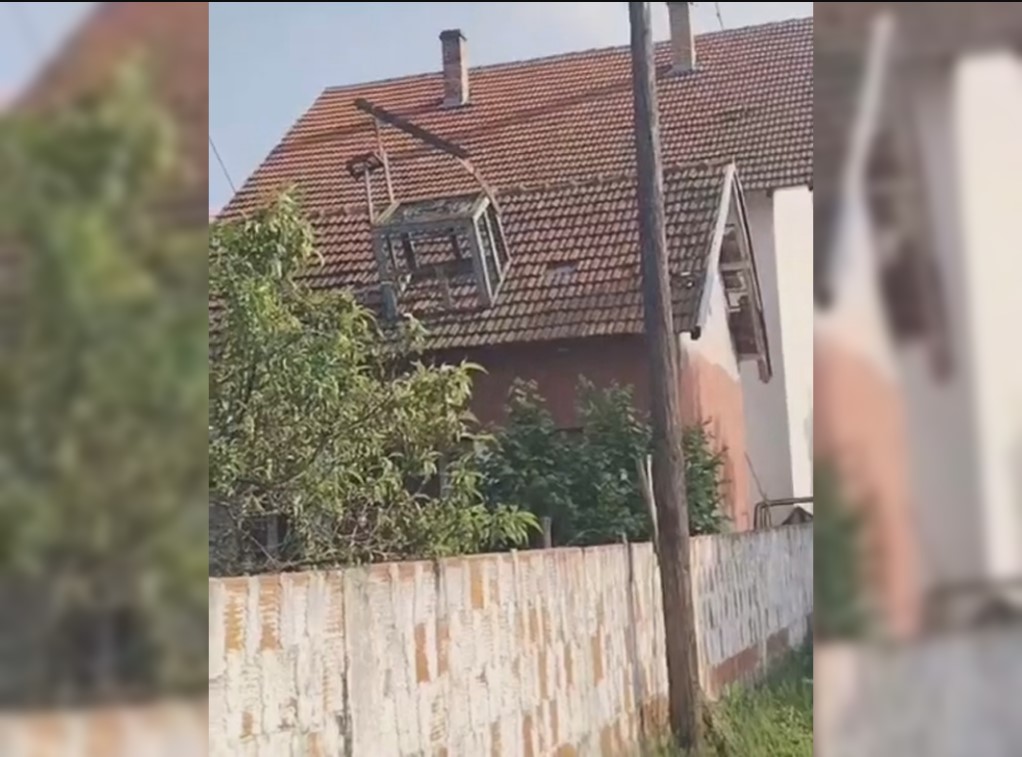 (UZNEMIRUJUĆE) Užas kod Leskovca: Dječak objesio četiri psa, pa dao jezivo objašnjenje