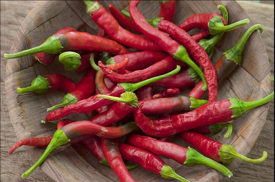 NE BACAJTE PETELJKE OD PAPRIKA Spremite ih u zamrzivač i začinite svako jelo