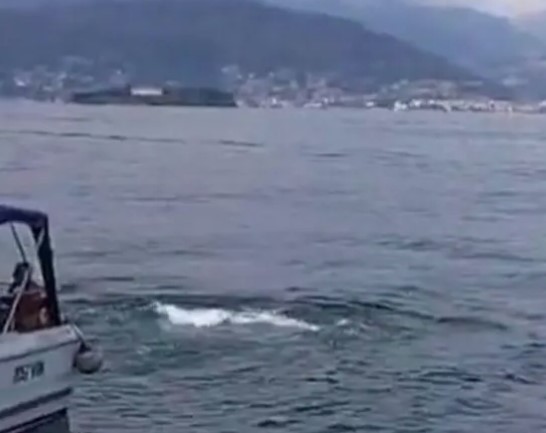 ITALIJA ZAVIJENA U CRNO Tragedija na proslavi rođendana: Prevrnuo se čamac, poginule najmanje tri osobe