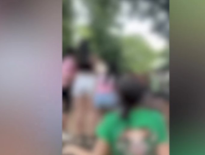 (UZNEMIRUJUĆI VIDEO) MATURANTI KAO DIVLJACI U ŠUMI Đaci beogradskih gimnazija se potukli na Zvezdari: Dva tinejdžera završila u Urgentnom centru (VIDEO)
