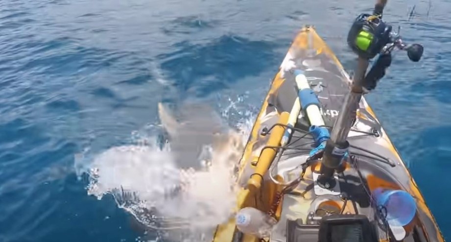 JEZIV SNIMAK NAPADA AJKULE Otišao da peca, pa sreo zvijer: Čuo sam kako klizi prema meni (VIDEO)