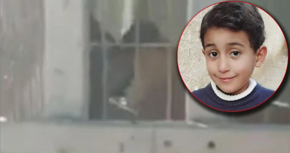 (UZNEMIRUJUĆI SNIMAK) Dječaka (6) ščepao lav u ZOO vrtu, niko ne može da ga odvoji od podivljale životinje