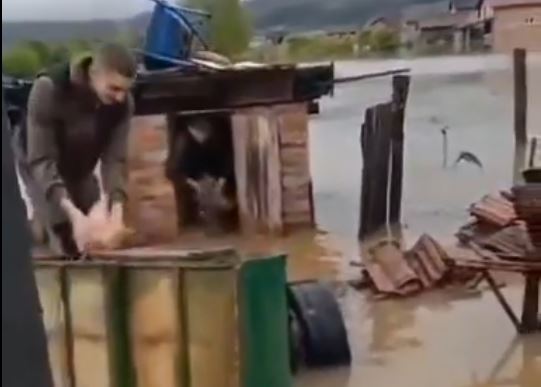 SELJANI DOBRLJINA KOD NOVOG GRADA U PANICI Evakuišu životinje, spasavaju što se spasti može (FOTO/VIDEO)