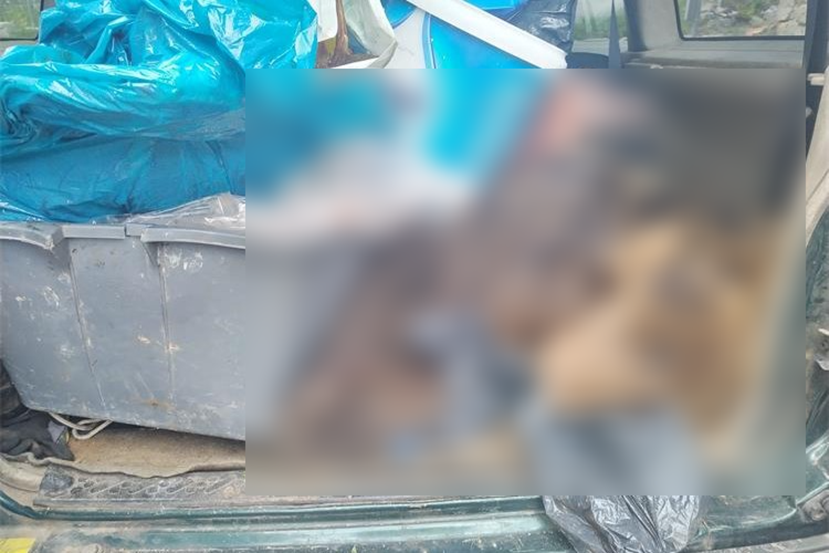 U GEPEKU PRONAŠLI UBIJENOG MEDVJEDA Lovci pokušali prokrijumčariti odstreljenu divlju životinju