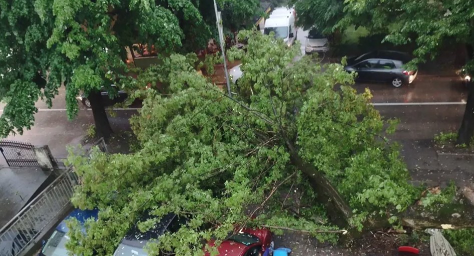 SNAŽNO NEVRIJEME U BANJALUCI Olujni vjetar srušio drvo i blokirao ulicu kod Gradskog mosta (FOTO)
