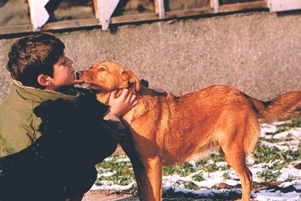 PRIČA KOJA DIRA U DUŠU Keruša poslije "Oluje" prešla 500 kilometara i pronašla svoju porodicu (FOTO)