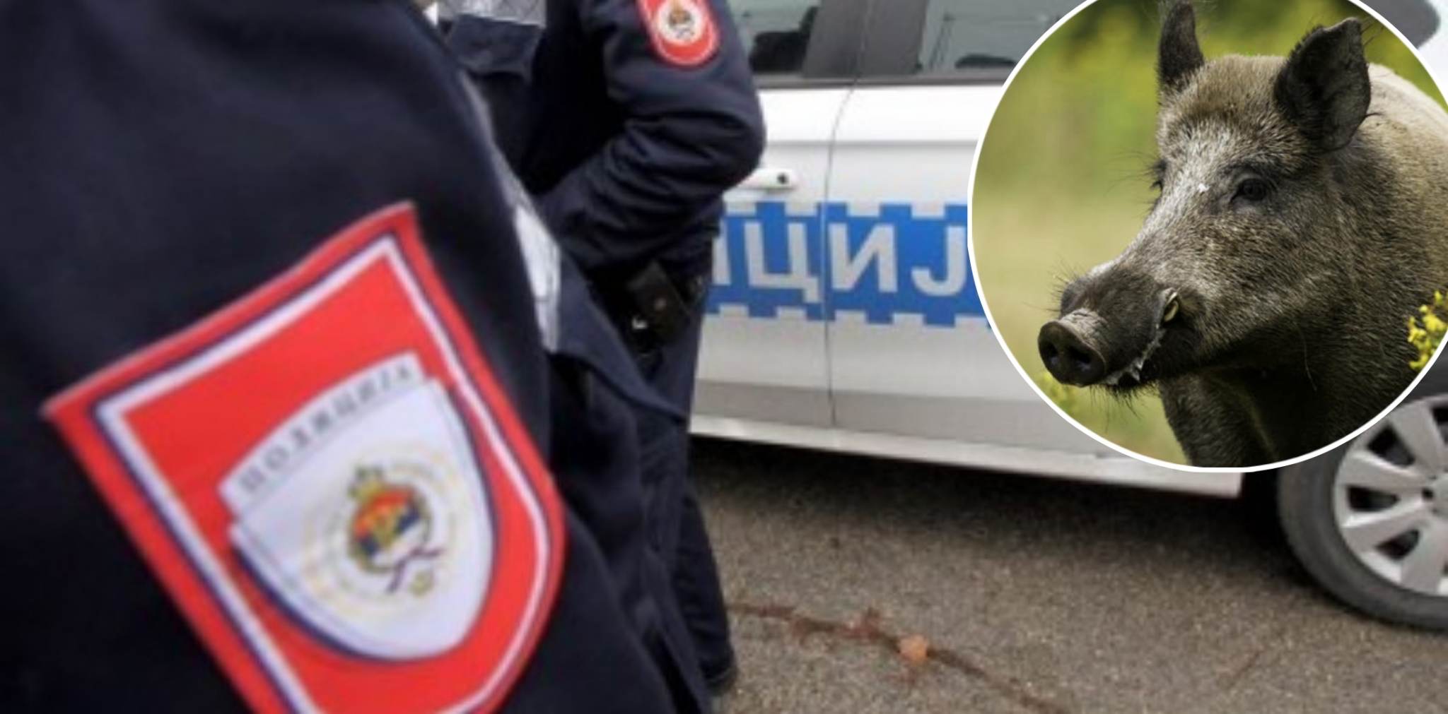 DIVLJE SVINJE NAPRAVILE POMETNJU Tri nezgode na auto-putu Banjaluka - Gradiška