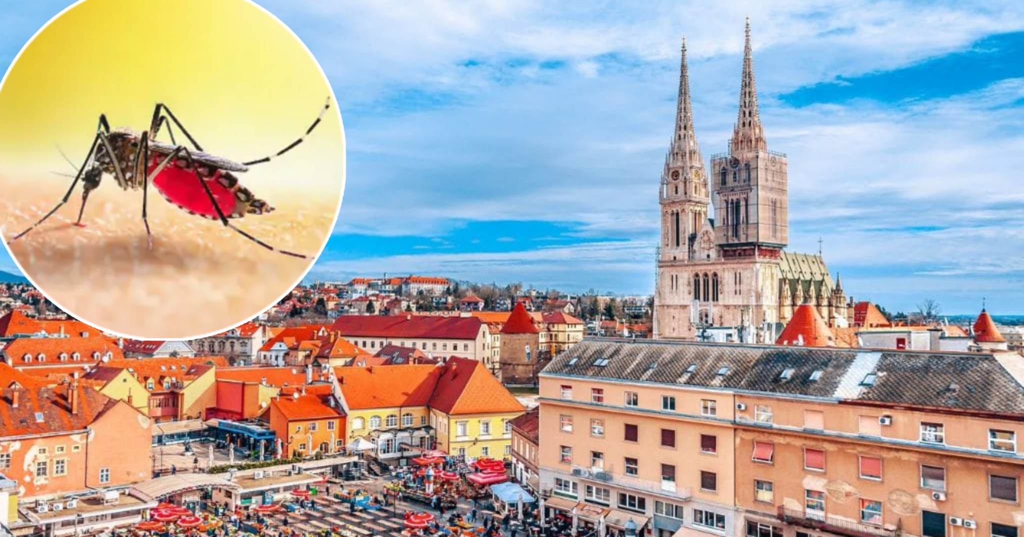 KOMŠIJE IMAJU "PAKLENI" PLAN Uvoze 100.000 komaraca, a onda će ih pustiti u vazduh