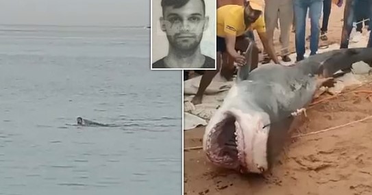 "TATA, TATA SPASI ME" Otac morao da gleda kako mu ajkula jede sina u Hurgadi, jedva skupio snage da ispriča detalje stravičnog događaja (FOTO/VIDEO)