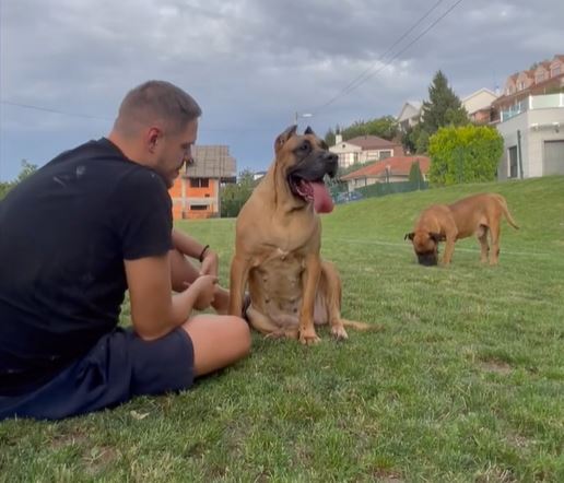 "TI NISI ZA OVAJ SVIJET, TI SI ZA BOLJE NEKO MJESTO" Vladimir Štimac oprostio se od najboljeg prijatelja (FOTO)