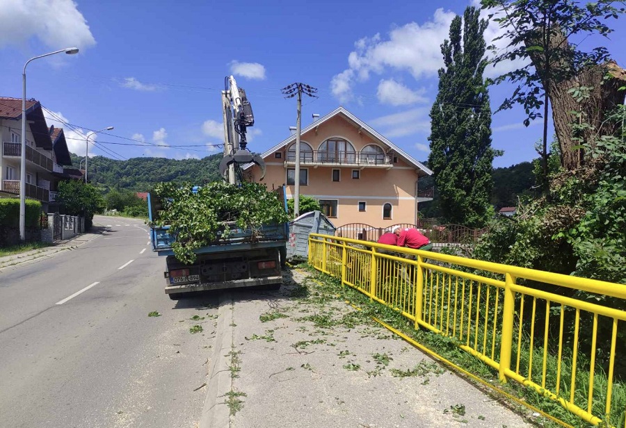 Grom udario u drvo na plaži u Banjaluci