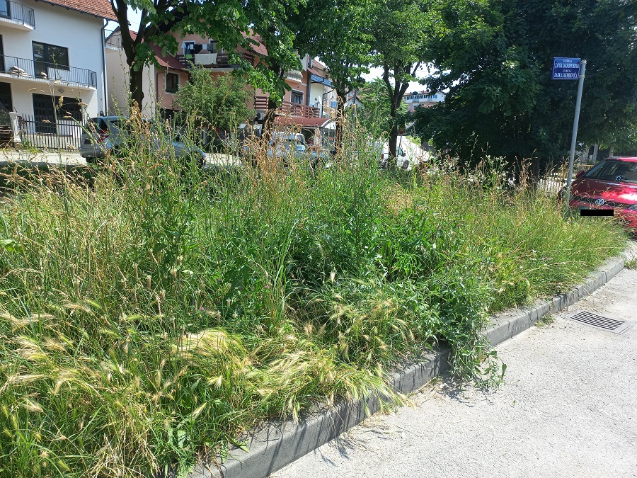 OTUŽNA SLIKA ZELENOG VIRA, VISOKA TRAVA I UNIŠTENE KLUPE Propada jedno od omiljenih izletišta Banjalučana, mještani ogorčeni