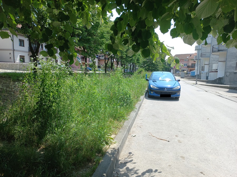 NA LAUŠU TRAVA PREKO GLAVE „Djeca nam se tu igraju, samo čekamo zmije da počnu izvirati“ (FOTO)