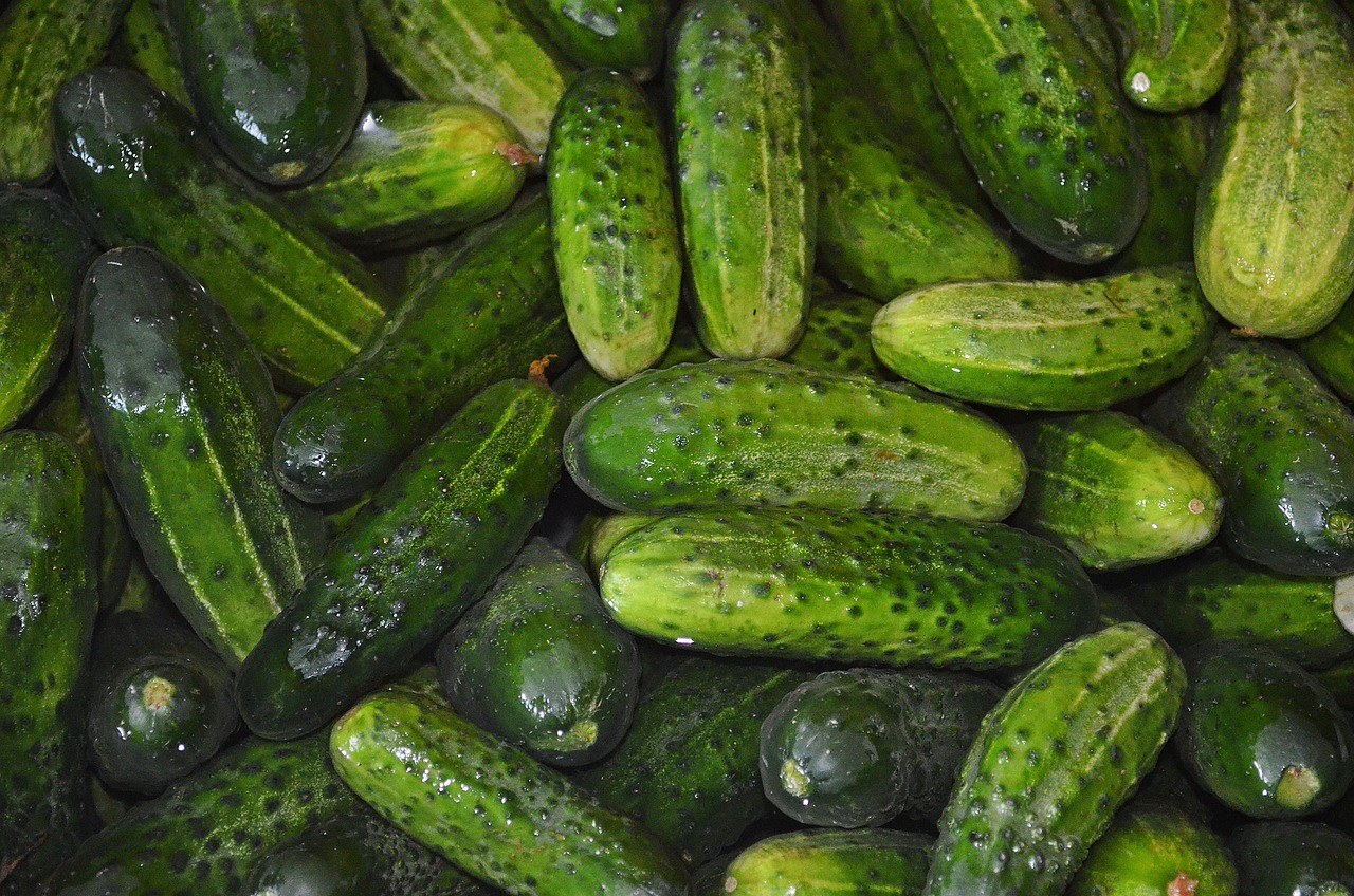 Krastavci su odlični u salatama i sendvičima, ali jeste li ih ikada probali ispržiti?