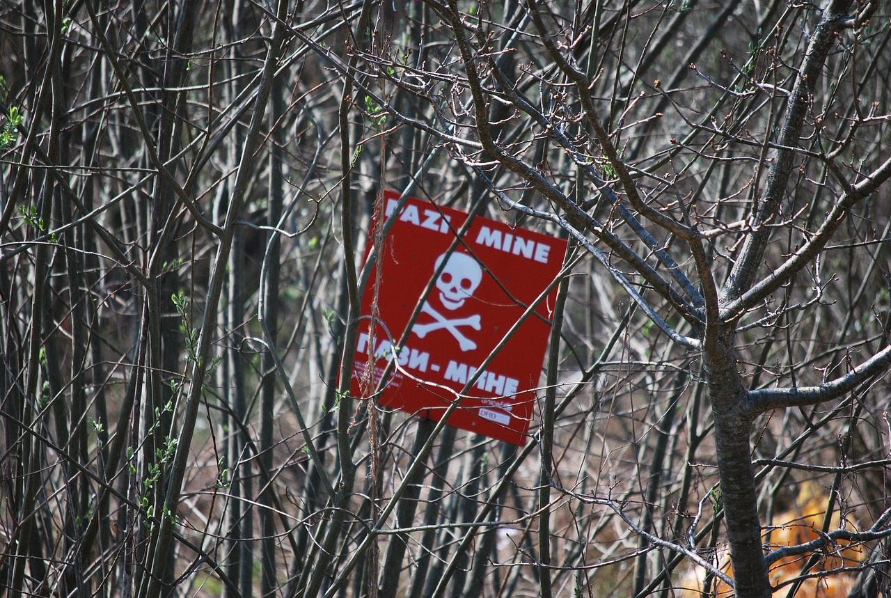 OPASNOST I NAKON 29 GODINA OD RATA Preko 800 kvadratnih kilometara u BiH nije očišćeno od mina