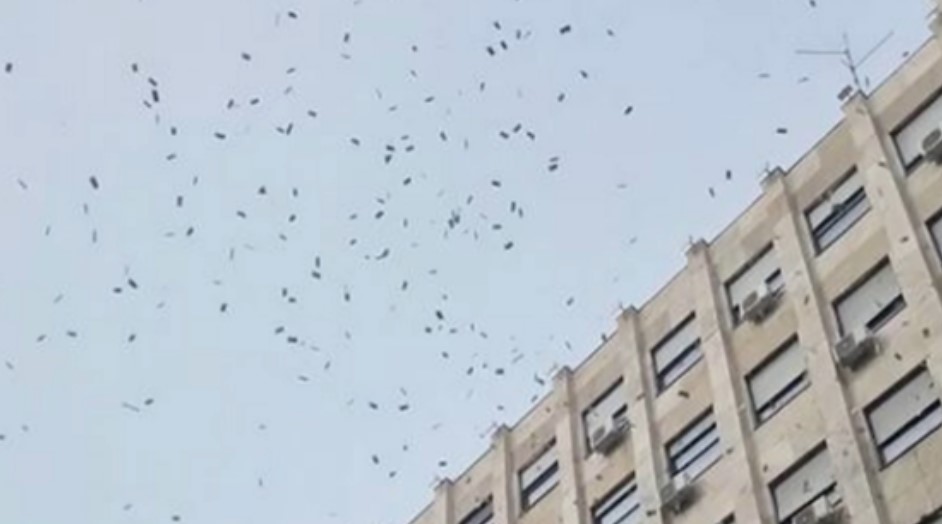 "LA CASA DE PAPEL" U BEOGRADU Lete novčanice sa zgrade u Knez Mihailovoj: Jedni šokirani, drugi potrčali da sakupe što više (VIDEO)