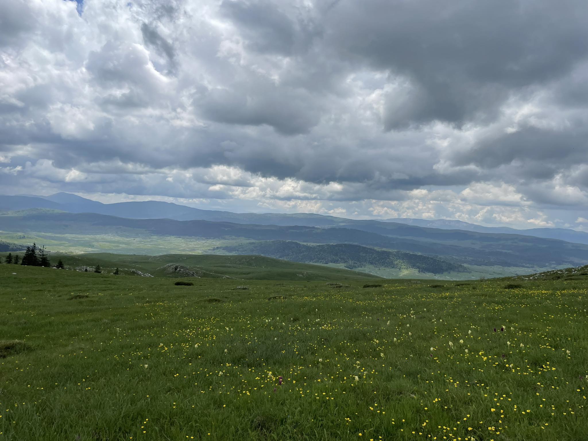 Na sjeveru se očekuju jaka kiša, pljuskovi, olujni vjetar i grad